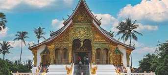 Peak Tourist Season (Nov - Feb)