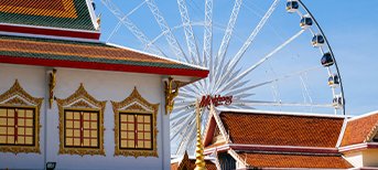 Peak Tourist Season (Nov - Feb)